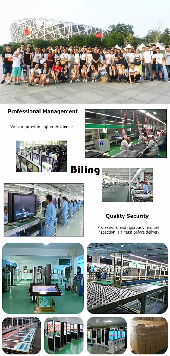 Advertising LED Display Price 3D Hologram Display 65 Cm 3D Hologram Advertising Fan SD Card Only WiFi Digital Signage